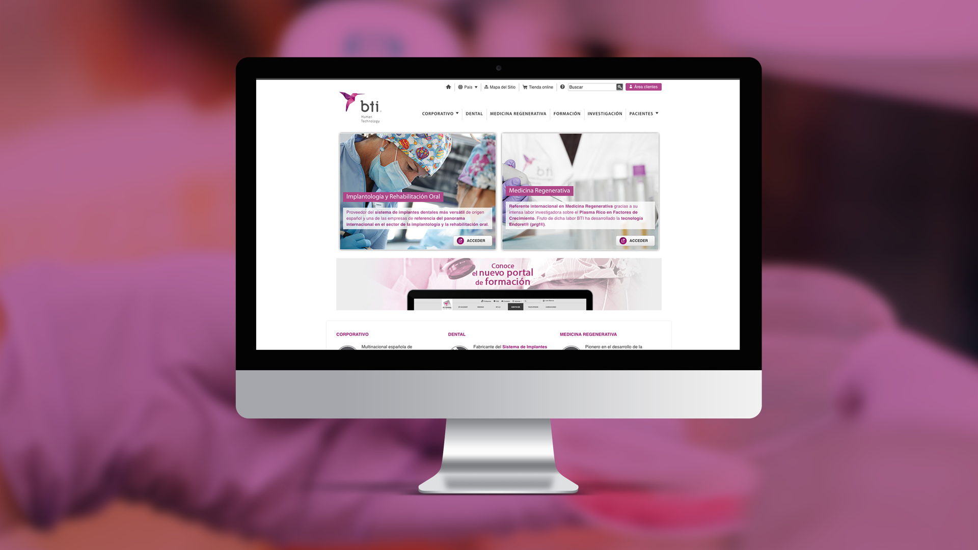 Graphic design UX UI of the website