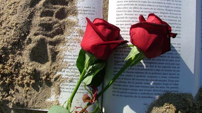 2 rosas sobre un libro