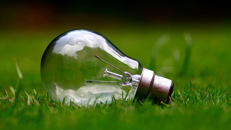Light bulb on the lawncy