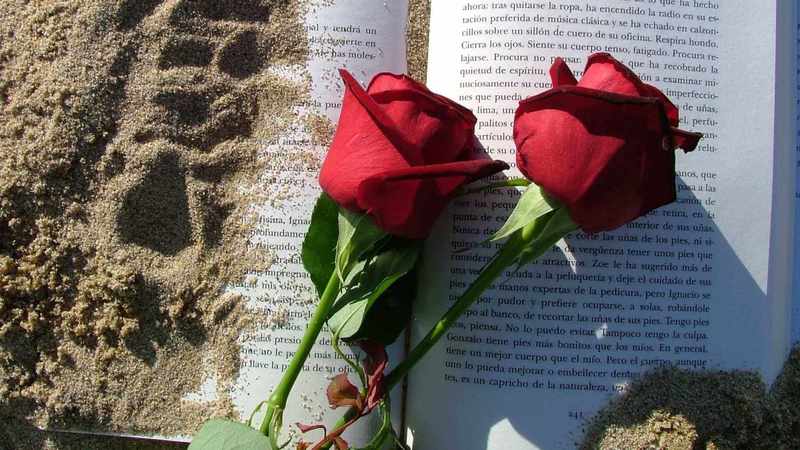 2 roses on a book